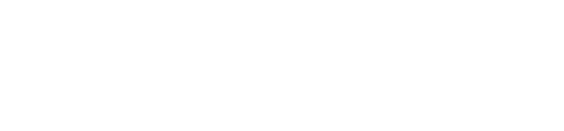 Stories internation landscape logo